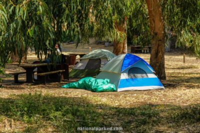 Scorpion Valley Campground in Channel Islands National Park in California