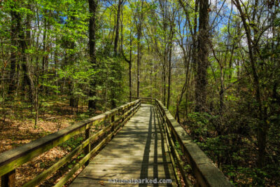 Boardwalk Trail in Congaree National Park in South Carolina