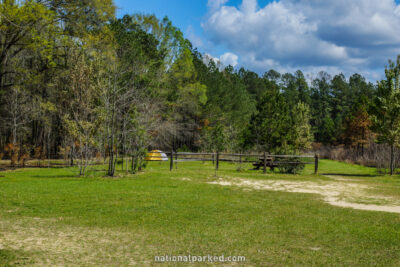 Longleaf Campground in Congaree National Park in South Carolina