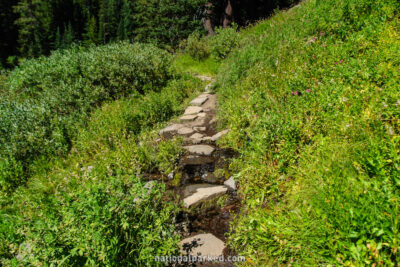 Castle Crest Wildflower Nature Trail in Crater Lake National Park in Oregon