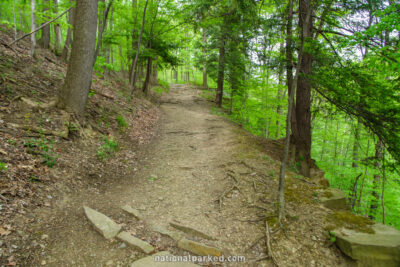 Brandywine Gorge in Cuyahoga Valley National Park in Ohio