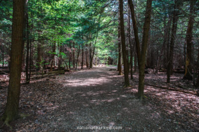 Ledges Trail in Cuyahoga Valley National Park in Ohio