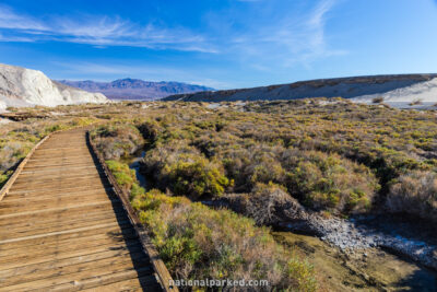 Salt Creek Trail in Death Valley National Park in California
