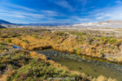 Salt Creek Trail, Death Valley National Park, California