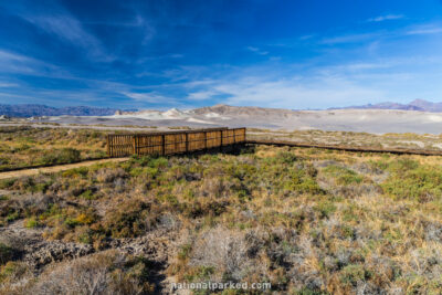 Salt Creek Trail, Death Valley National Park, California