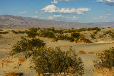 Sand Dunes in Death Valley National Park in California