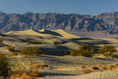 Sand Dunes in Death Valley National Park in California