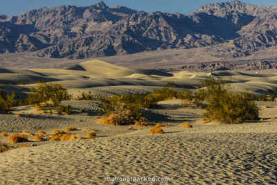 Sand Dunes in Death Valley National Park in California