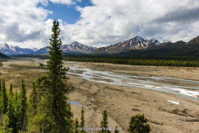 Teklanika River in Denali National Park in Alaska