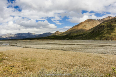 Toklat River in Denali National Park in Alaska