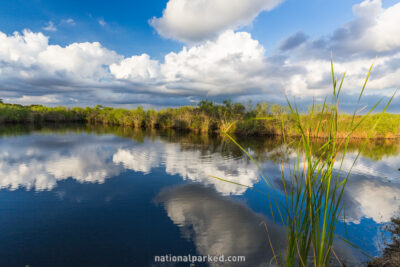 Anhinga Trail in Everglades National Park in Florida