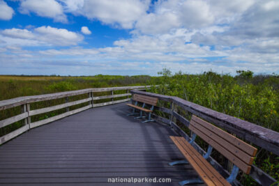 Anhinga Trail in Everglades National Park in Florida