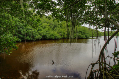 Coot Bay Pond in Everglades National Park in Florida