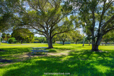 Flamingo Campground in Everglades National Park in Florida