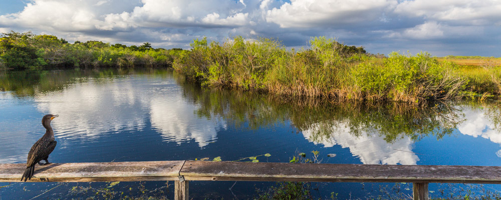 Distance From Miami Airport To Everglades National Park www.nationalparked.com