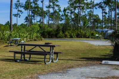 Long Pine Key Campground in Everglades National Park in Florida