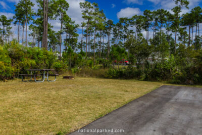 Long Pine Key Campground in Everglades National Park in Florida