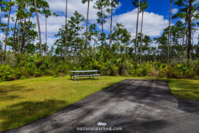 Long Pine Key Campground in Everglades National Park in Florida