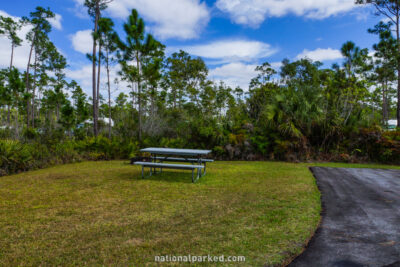 Long Pine Key Campground in Everglades National Park in Florida