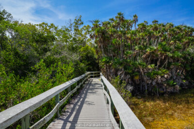 Mahogany Hammock in Everglades National Park in Florida