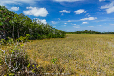 Mahogany Hammock in Everglades National Park in Florida