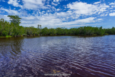 Mrazek Pond in Everglades National Park in Florida