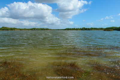 Nine Mile Pond in Everglades National Park in Florida