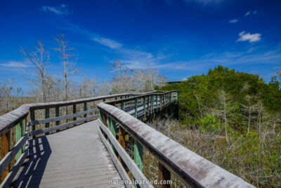 Pa-Hay-Okee in Everglades National Park in Florida