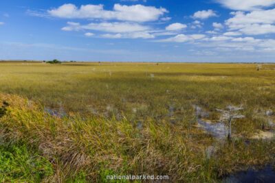 Pa-Hay-Okee in Everglades National Park in Florida