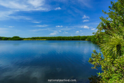 Paurotis Pond in Everglades National Park in Florida