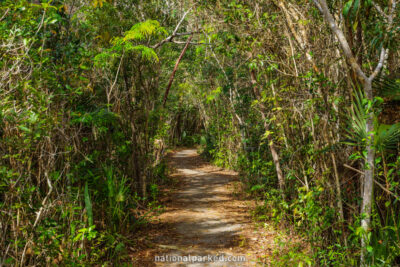 Pinelands Trail in Everglades National Park in Florida