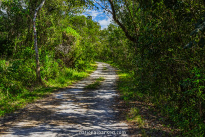 Rowdy Bend Trail in Everglades National Park in Florida