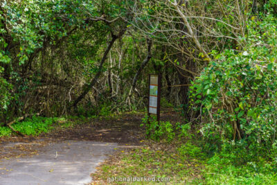 Snake Bight Trail in Everglades National Park in Florida