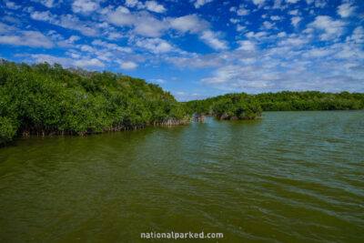 West Lake Trail in Everglades National Park in Florida