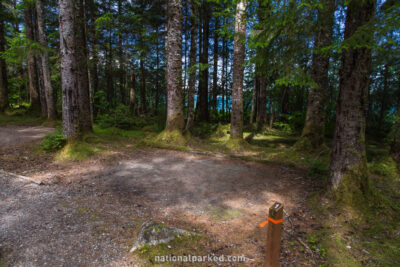 Bartlett Cove Campground in Glacier Bay National Park in Alaska