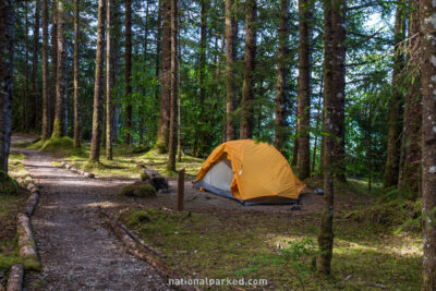 Bartlett Cove Campground in Glacier Bay National Park in Alaska