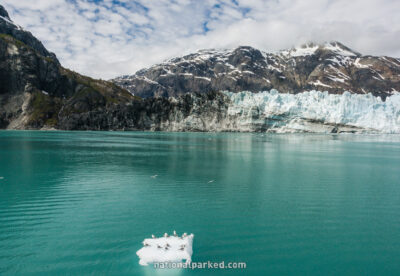 Margerie Glacier in Glacier Bay National Park in Alaska