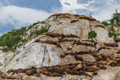 South Marble Island in Glacier Bay National Park in Alaska