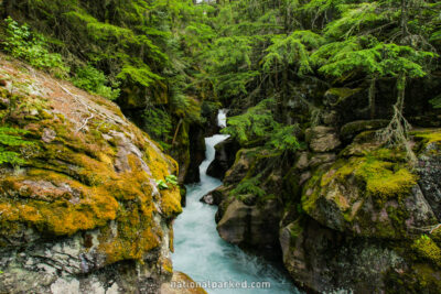 Avalanche Gorge in Glacier National Park in Montana