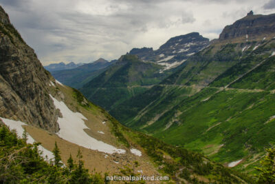 Boardwalk West of Logan Pass in Glacier National Park in Montana