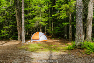 Fish Creek Campground in Glacier National Park in Montana