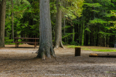 Fish Creek Campground in Glacier National Park in Montana