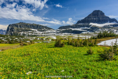 Logan Pass in Glacier National Park in Montana