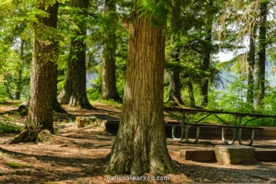 Sprague Creek Campground in Glacier National Park in Montana