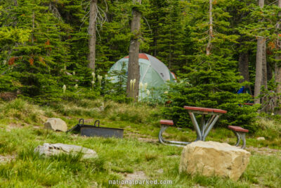 Two Medicine Campground in Glacier National Park in Montana