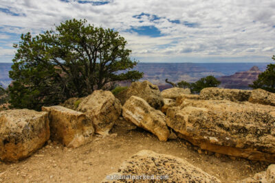 Cape Royal in Grand Canyon National Park in Arizona