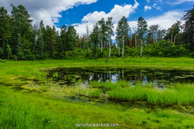 Greenland Lake in Grand Canyon National Park in Arizona