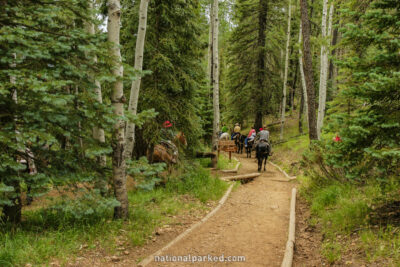 North Kaibab Trail in Grand Canyon National Park in Arizona