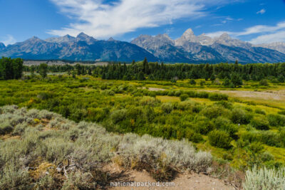 Blacktail Ponds Overlook in Grand Teton National Park in Wyoming