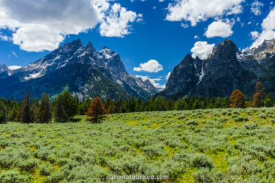 Cascade Canyon Turnout in Grand Teton National Park in Wyoming